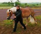 Naomi zv�t�zila mezi star��mi klisnami. Pro zv�t�en� klikn�te