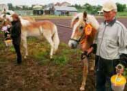 Axan se sv�m majitelem. Pro zv�t�en� klikn�te