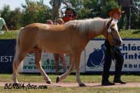 Nella. Pro zv�t�en� klikn�te