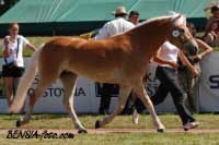 Clarina. Pro zv�t�en� klikn�te