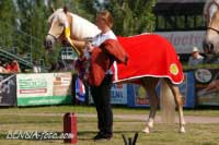 V�t�zka Sunflower. Pro zv�t�en� klikn�te