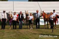 Prvn� t�i um�st�n� klisny. Pro zv�t�en� klikn�te