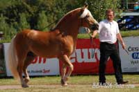 Merlin von Milagro. Pro zv�t�en� klikn�te