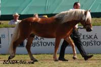 Adam. Pro zv�t�en� klikn�te