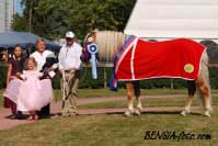 Aquavit I. Pro zv�t�en� klikn�te