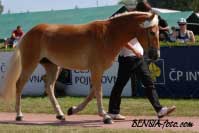 Cabina. Pro zv�t�en� klikn�te