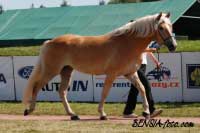 Campbella. Pro zv�t�en� klikn�te