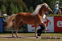 Emmeli. Pro zv�t�en� klikn�te