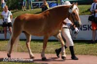 Angelique. Pro zv�t�en� klikn�te