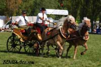 Jaroslav Dr�pela - Astra, Natali. Pro zv�t�en� klikn�te