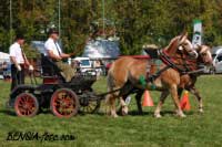 Zden�k Musil - ��rka a B�ra. Pro zv�t�en� klikn�te