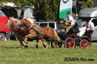 Zden�k Musil - ��rka a B�ra. Pro zv�t�en� klikn�te