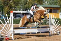 Hana Dr�bkov� a Merlin von Milagro - foto J. a �. B�lohlavovi. Pro zv�t�en� klikn�te