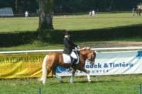 Pavel Li�ka a ST-Monty. Pro zv�t�en� klikn�te