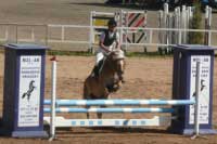 Franti�ek Volek a klisna Angelique. Pro zv�t�en� klikn�te