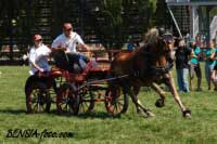 Milan Ko��nek - Apollo. Pro zv�t�en� klikn�te