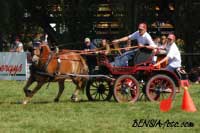 Milan Ko��nek - Apollo. Pro zv�t�en� klikn�te