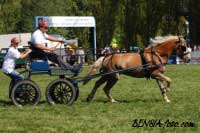 Michal Ko��nek - Nug�t 2. Pro zv�t�en� klikn�te