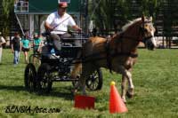 Michal Ko��nek - Nug�t 2. Pro zv�t�en� klikn�te