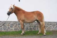 Almi. Pro zv�t�en� klikn�te