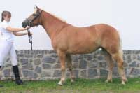 Nella. Pro zv�t�en� klikn�te