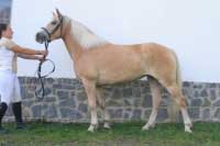 Sonita. Pro zv�t�en� klikn�te