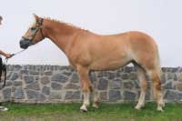 Sunny. Pro zv�t�en� klikn�te