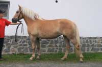 Laguna. Pro zv�t�en� klikn�te