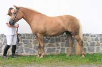 Lara. Pro zv�t�en� klikn�te