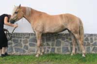 Leny. Pro zv�t�en� klikn�te