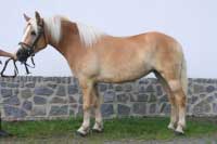 Leont�nka. Pro zv�t�en� klikn�te