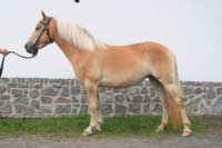 Lordana. Pro zv�t�en� klikn�te