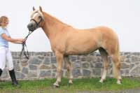 Mellisa. Pro zv�t�en� klikn�te