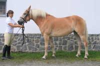 Messyna. Pro zv�t�en� klikn�te