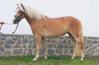 Nela. Pro zv�t�en� klikn�te