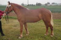 Leont�nka. Pro zv�t�en� klikn�te