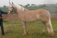 Mery Lou. Pro zv�t�en� klikn�te