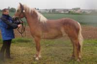 Pol�rka. Pro zv�t�en� klikn�te