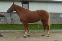 Laki. Pro zv�t�en� klikn�te