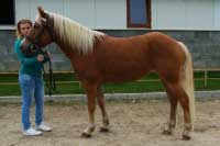 Sendy. Pro zv�t�en� klikn�te