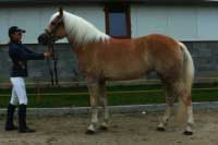 Nefris. Pro zv�t�en� klikn�te