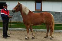 Raduza. Pro zv�t�en� klikn�te