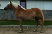 Linetka. Pro zv�t�en� klikn�te