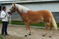 Nell. Pro zv�t�en� klikn�te