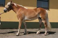 Gina. Pro zv�t�en� klikn�te