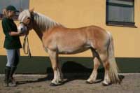 Lorita. Pro zv�t�en� klikn�te