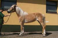 Lara. Pro zv�t�en� klikn�te