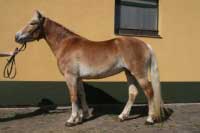 Genie. Pro zv�t�en� klikn�te