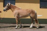 Olivia. Pro zv�t�en� klikn�te