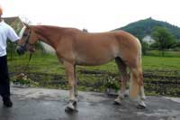 Emmeli. Pro zv�t�en� klikn�te